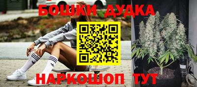 сатива Апшеронск