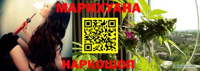 сатива Апшеронск