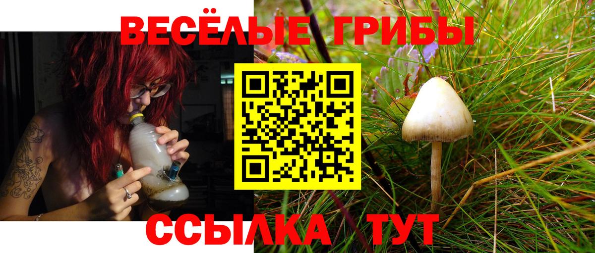 купить наркоту  Галлюциногенные грибы Cubensis  Вход с VPN  Гусиноозёрск 