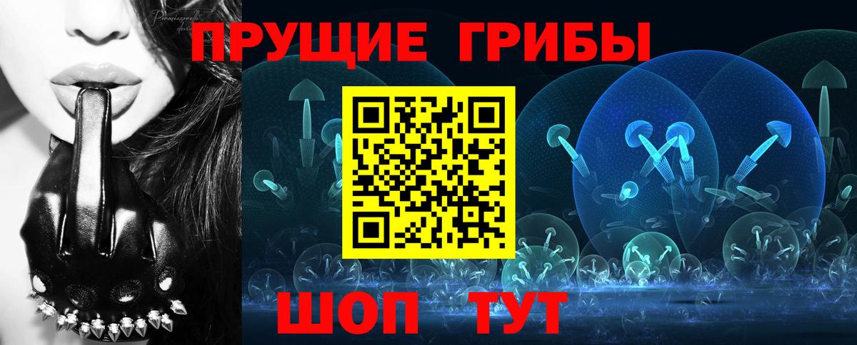 Псилоцибиновые грибы Cubensis Гусиноозёрск