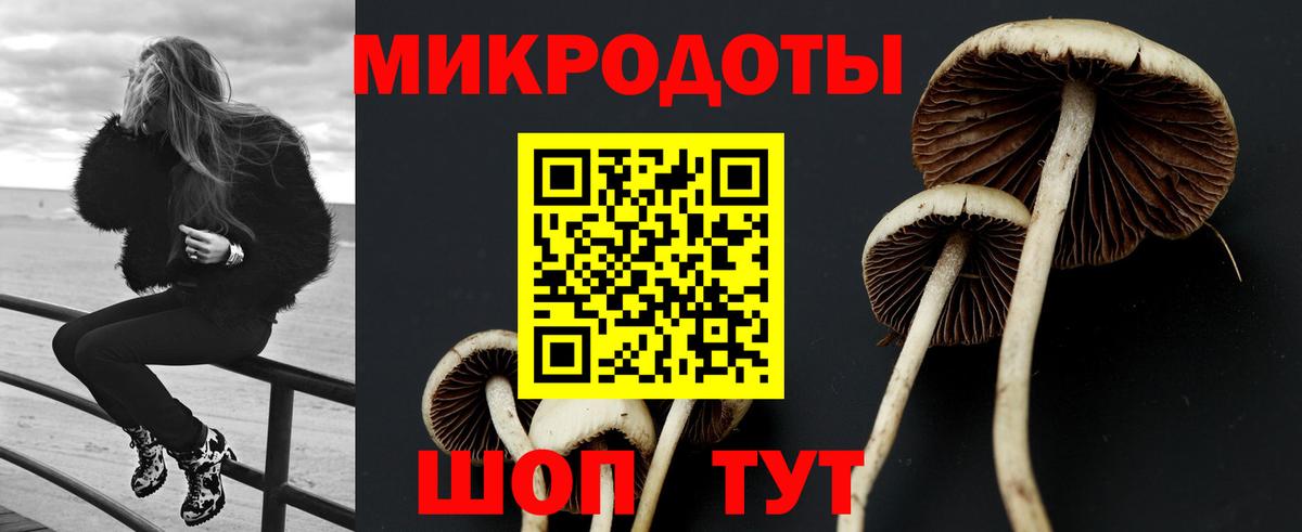 Псилоцибиновые грибы MAGIC MUSHROOMS  Гусиноозёрск 